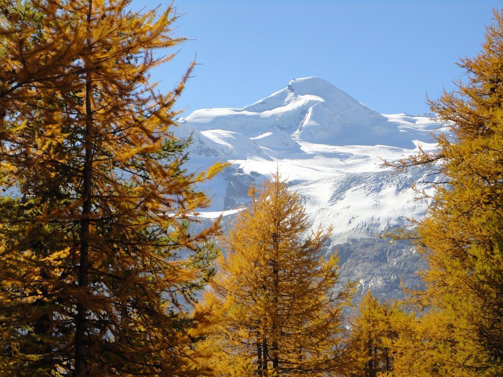 Haus Holiday Διαμέρισμα Saas Fee Δωμάτιο φωτογραφία