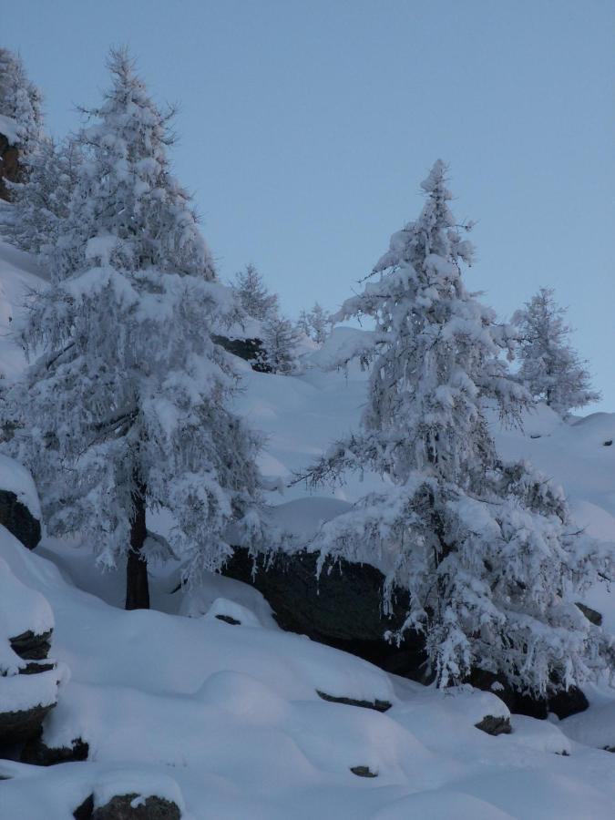 Haus Holiday Διαμέρισμα Saas Fee Εξωτερικό φωτογραφία