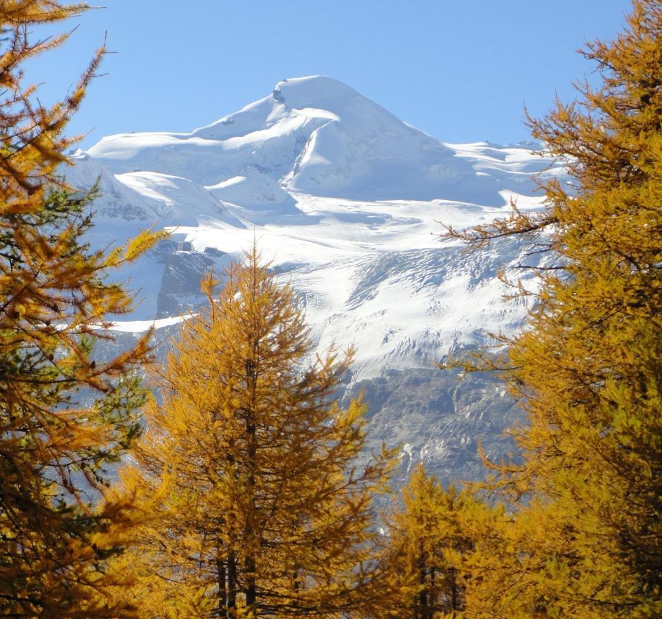 Haus Holiday Διαμέρισμα Saas Fee Εξωτερικό φωτογραφία